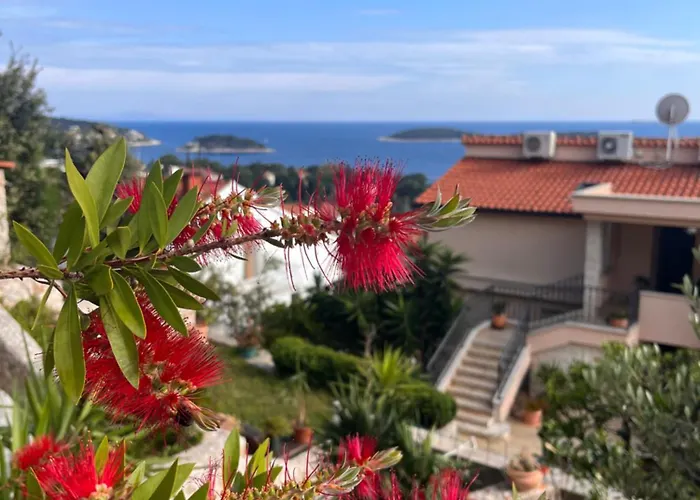 Top View Hvar Town